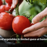 Growing fruits and vegetables in limited space at home