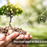 6 Steps to Practice a Sustainable Lifestyle
