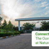 Ouvres of Greenery and Serenity at Natureville Beyond