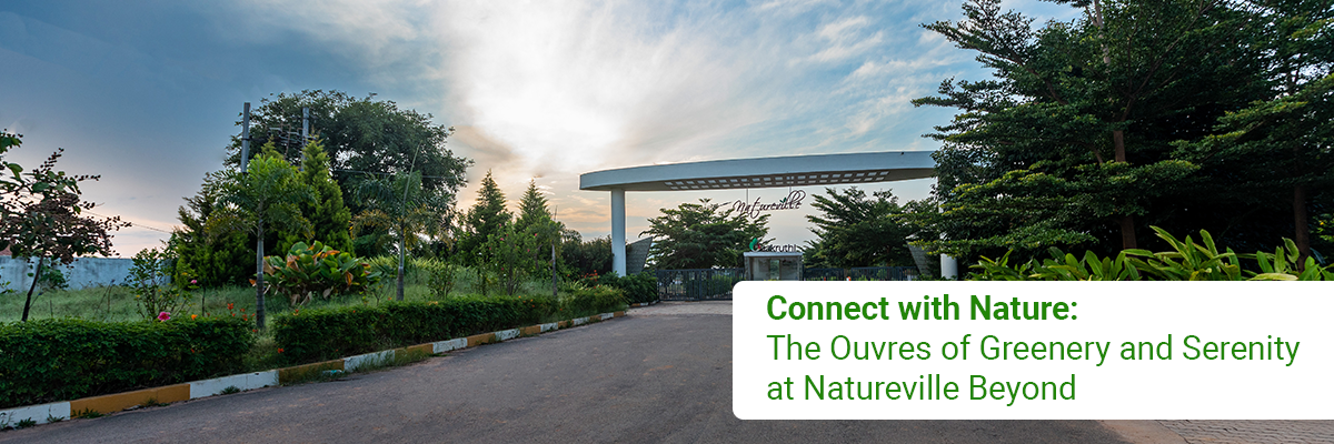 Ouvres of Greenery and Serenity at Natureville Beyond