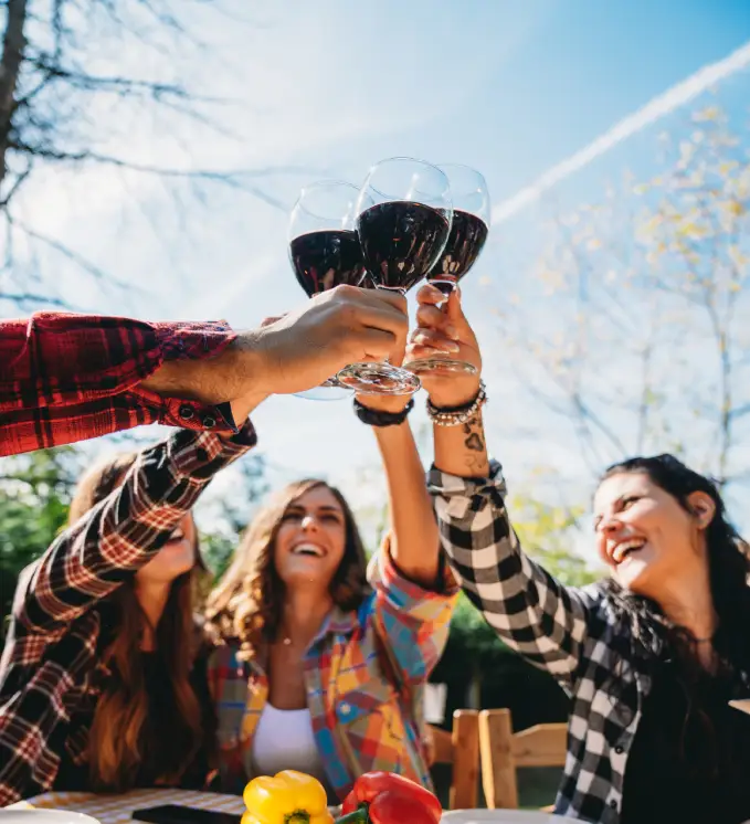 Party images of vila